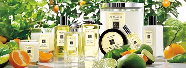 國祖馬龍植物廣告創意設計02